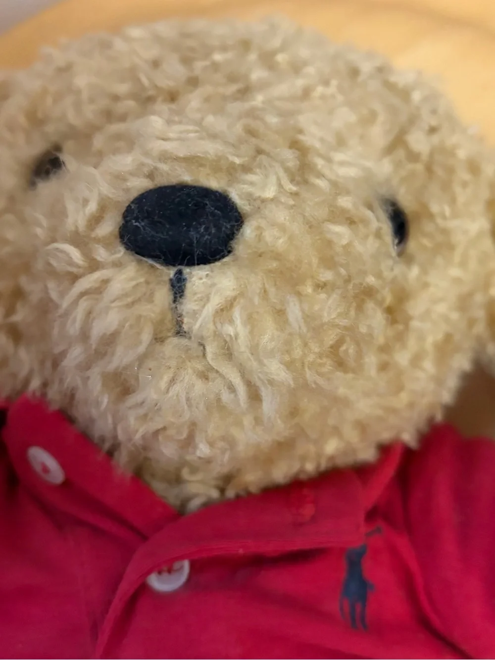 Vintage Ralph Lauren Red Polo Teddy Bear Plush Curly Hair Articulated Limbs NWT